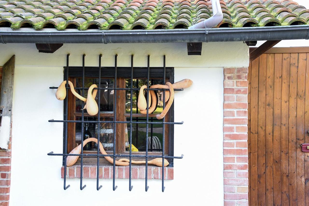 Casa Zafferano Guest House Albenga Bagian luar foto